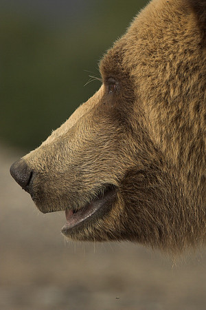 _RIC5198-01-52.jpg